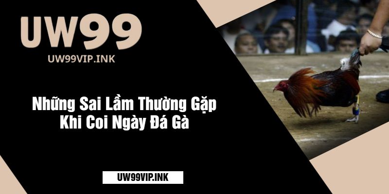 Những Sai Lầm Thường Gặp Khi Coi Ngày Đá Gà