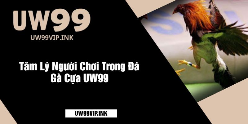 Tâm Lý Người Chơi Trong Đá Gà Cựa UW99