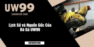 Lịch Sử và Nguồn Gốc Của Đá Gà UW99