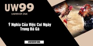 Ý Nghĩa Của Việc Coi Ngày Trong Đá Gà