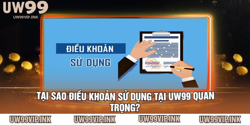 Tại Sao Điều Khoản Sử Dụng Tại UW99 Quan Trọng?